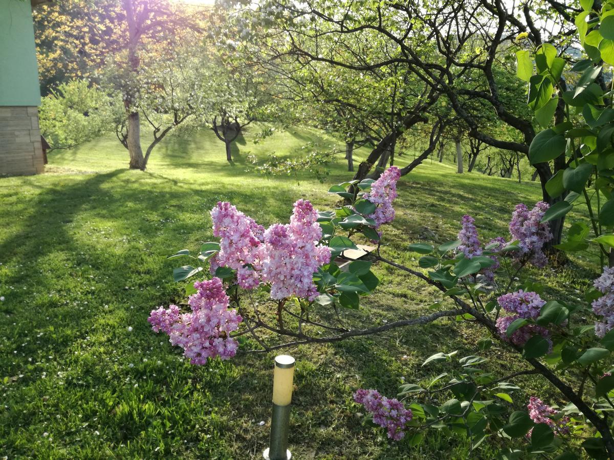 Private Place, Boca Bihać Esterno foto